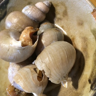 白バイ貝の煮物